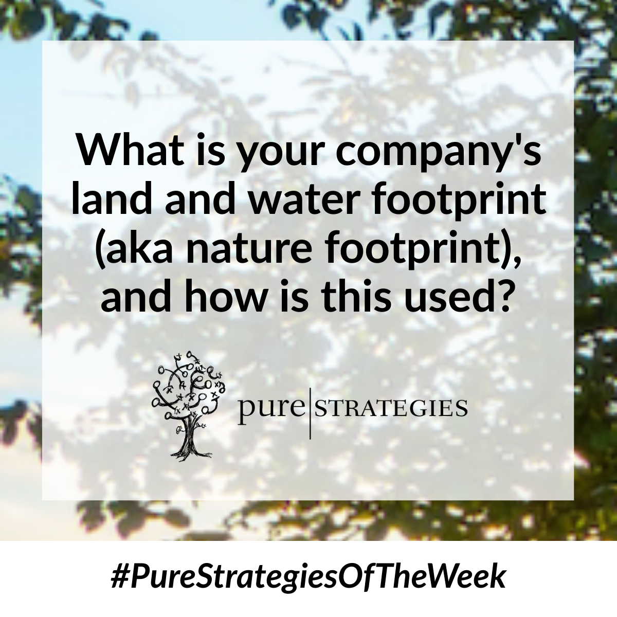 Check out Pure Strategies of the Week!