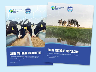 Advancing Emissions Transparency: New Guidance Supports Dairy Sector Progress on Driving Down Methane