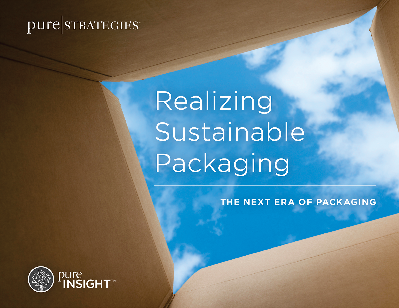 Pure Strategies Releases New Report: Realizing Sustainable Packaging - The Next Era of Packaging