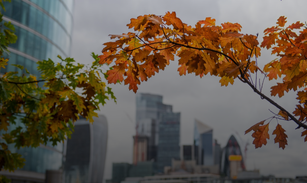 Different Starting Points, Shared Destination: The Many Roads to Corporate Action on Nature