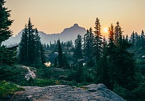 Preparing for the European Union Deforestation Regulation and a new level of forest supply chain due diligence