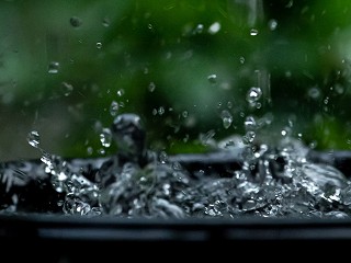 Low Impact Development: Taking Freshwater Sustainability to the Next Level